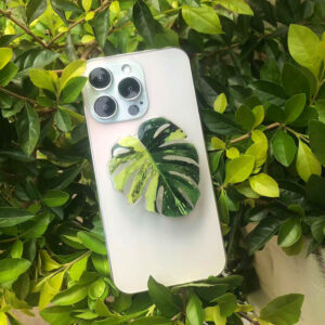 Griptok Bracket Socket Skládací Grip Akrylový držák telefonu Pretty Leaf stojánek na mobilní telefon simulace listů rostlin