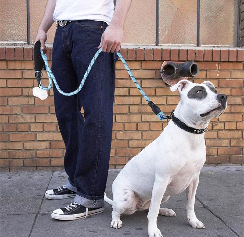 Reflexní pásek pro psy, reflexní hedvábné tažné lano pro domácí mazlíčky, reflexní nylonové šití v noci, lano pro venčení psů